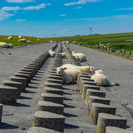 Ferienwohnung-sielufer * دورنوميرسيال